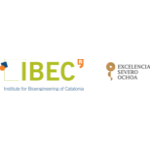 Institute of Bioengineering of Catalonia (IBEC)