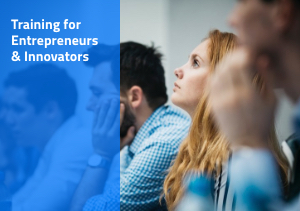 Entrepreneurship Labs