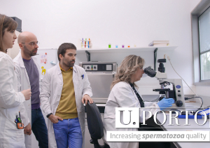 University of Porto's technology will help improve spermatozoa quality