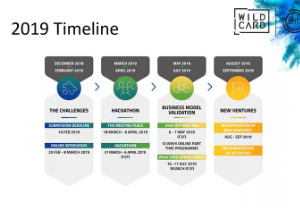 Wild Card informational webinar now online