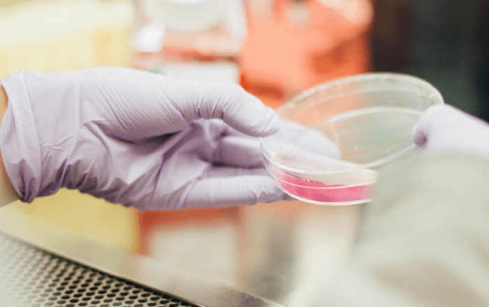 DTU boosts Rigshospitalet’s COVID-19 testing capacity