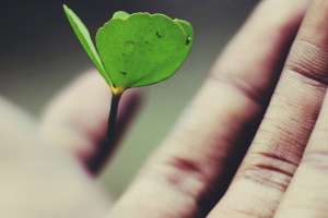 InnoStars publishes a guide to innovative finance in the health sector