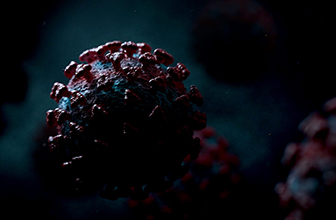 Covid Spotlight Special Edition